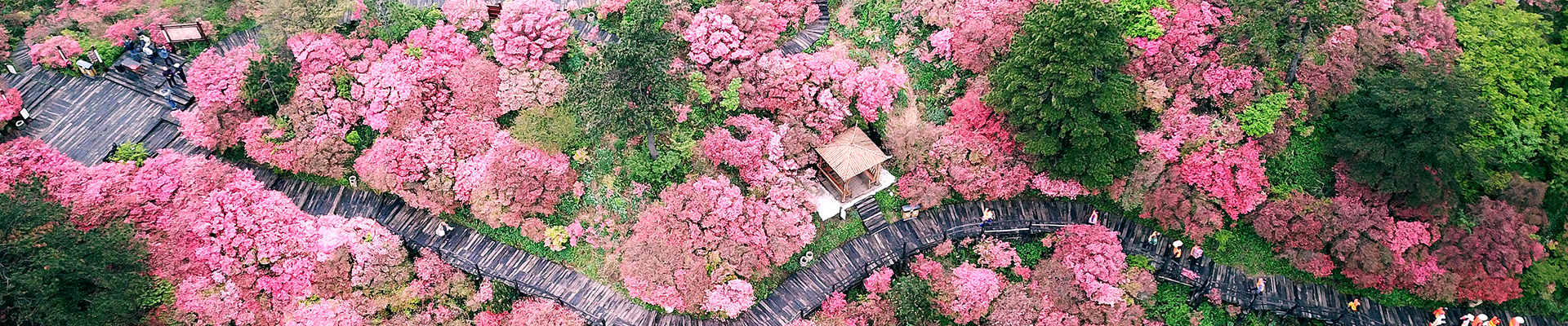 <strong>用专业解决问题，为客户创造价值！</strong>